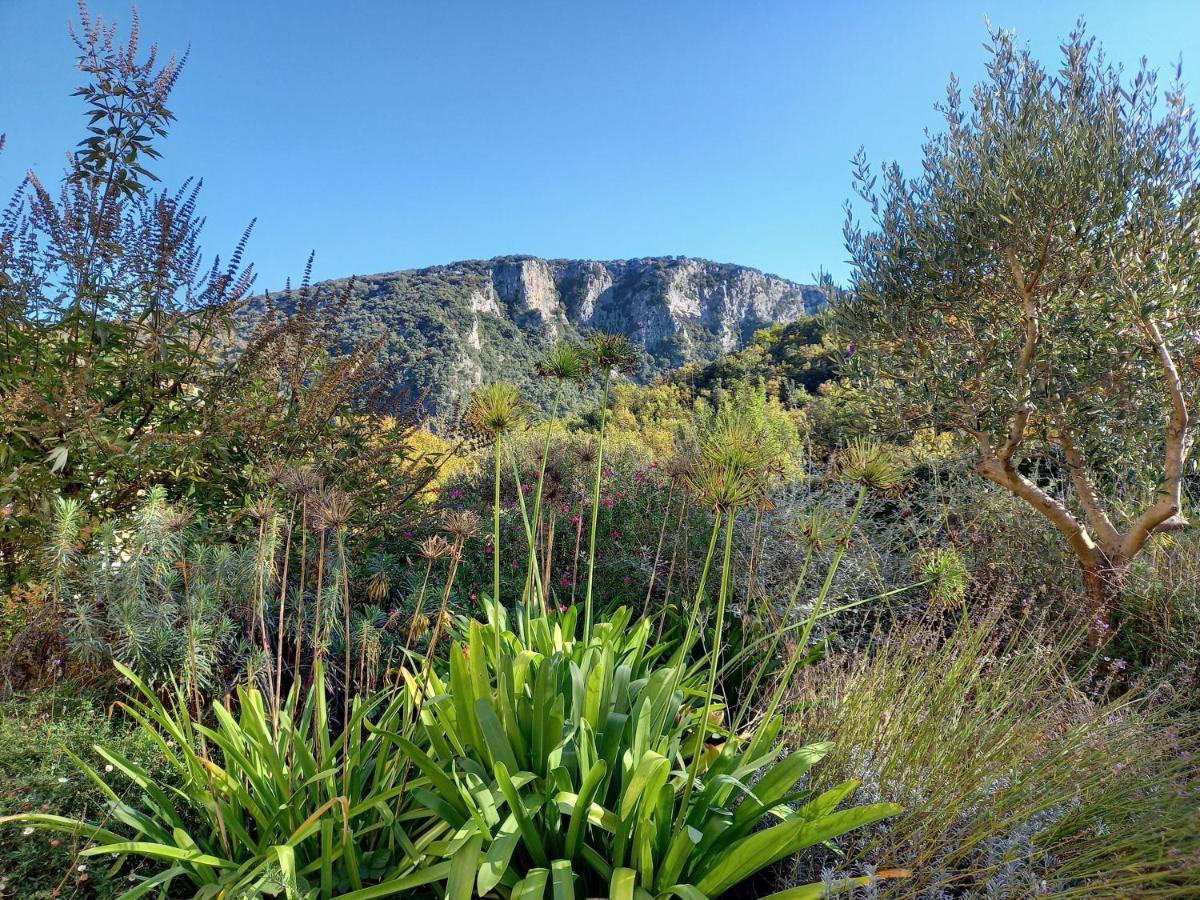 Gite En Cevennes Du Sud, Bergerie Restauree Au Rez De Jardin D'Une Bastide Avec Piscine, Vue Exceptionnelle, Authenticite Et Confort Saint-Laurent-le-Minier 外观 照片