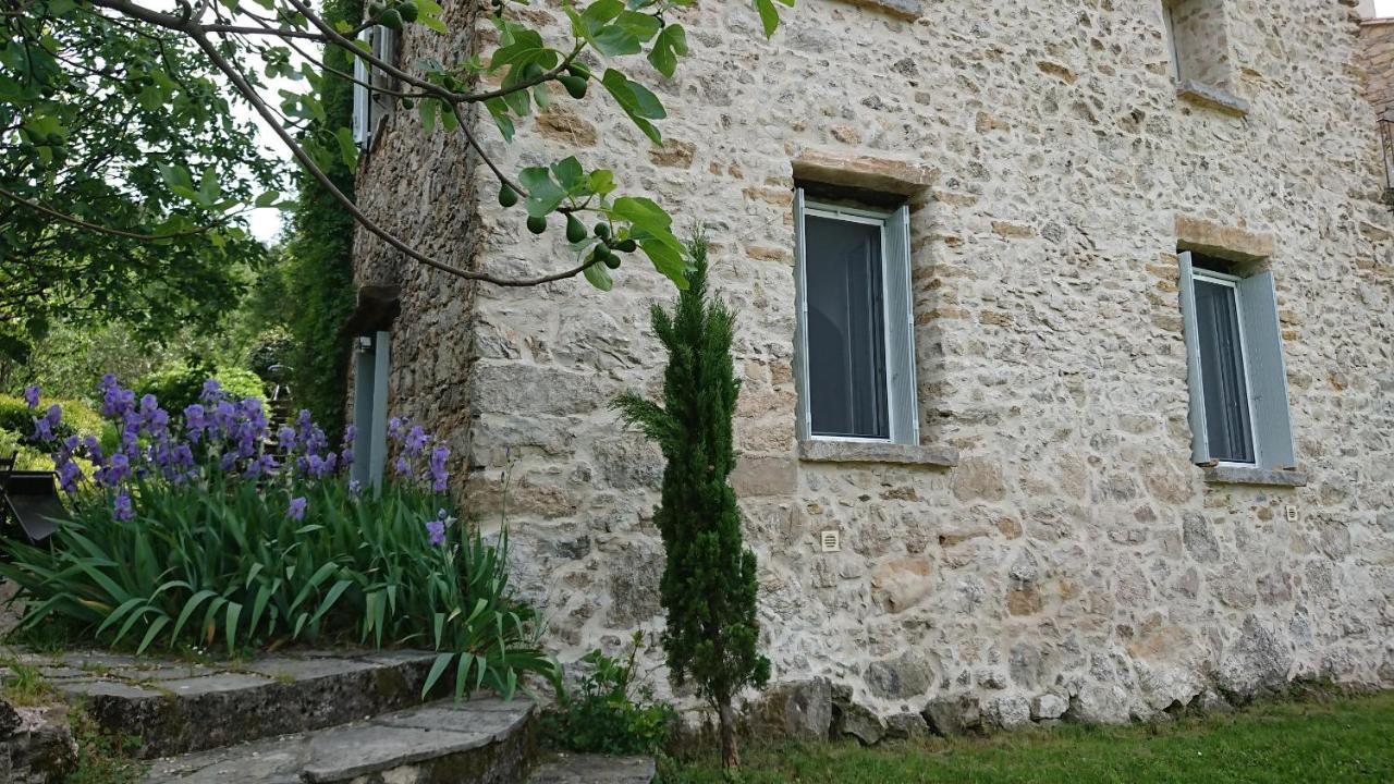 Gite En Cevennes Du Sud, Bergerie Restauree Au Rez De Jardin D'Une Bastide Avec Piscine, Vue Exceptionnelle, Authenticite Et Confort Saint-Laurent-le-Minier 外观 照片