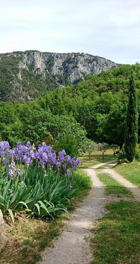 Gite En Cevennes Du Sud, Bergerie Restauree Au Rez De Jardin D'Une Bastide Avec Piscine, Vue Exceptionnelle, Authenticite Et Confort Saint-Laurent-le-Minier 外观 照片